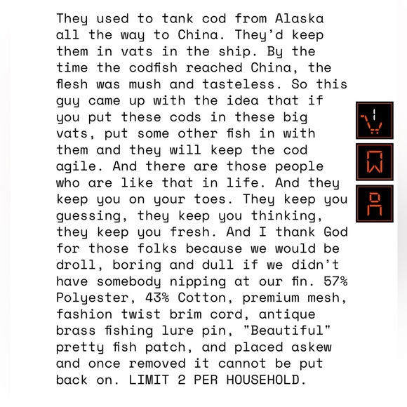 ⭐️NIB Limited Edition Goorin Brothers “Broken Camera” Cod Fish Trucker Hat - Picture 8 of 8